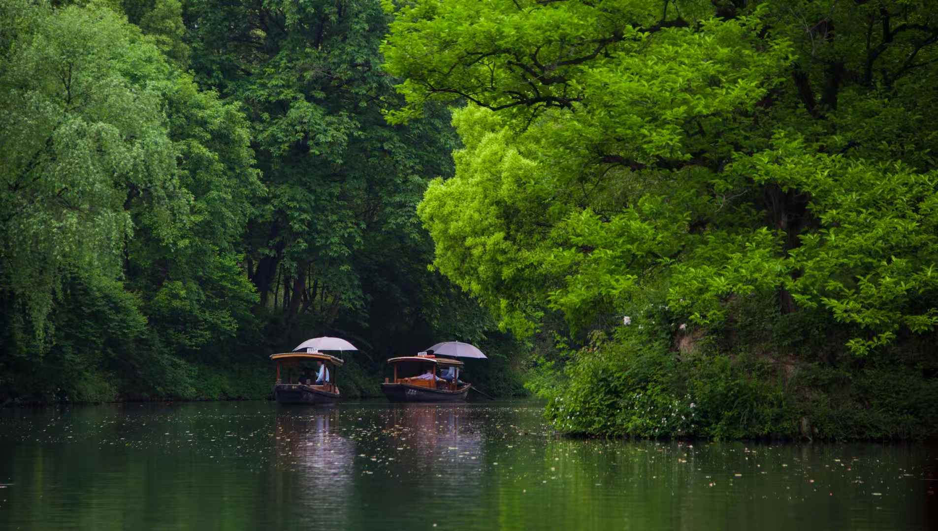 西湖游船